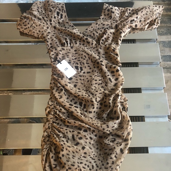 LPA Dress in Leopard - Picture 4 of 4